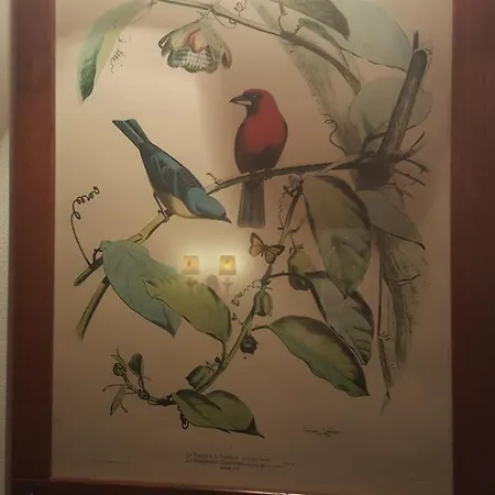 Il Casale Del Sogno Ardea