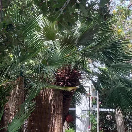 Il Casale Del Sogno Ardea