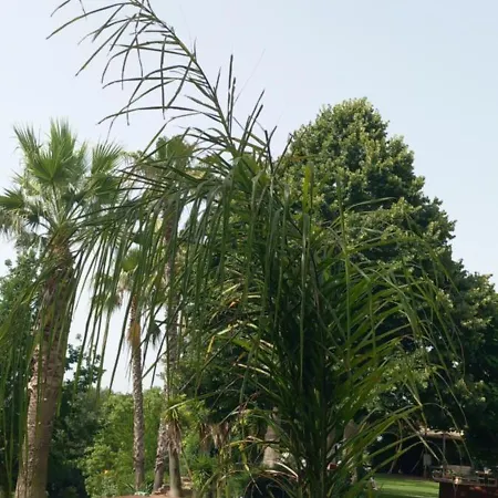 Il Casale Del Sogno