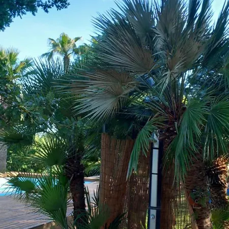 Bed & Breakfast Il Casale Del Sogno