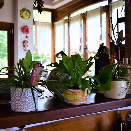 Bed & Breakfast Il Casale Del Sogno
