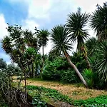 Il Casale Del Sogno Alojamento de Acomodação e Pequeno-almoço Ardea