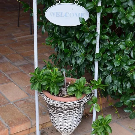 Il Casale Del Sogno Ardea